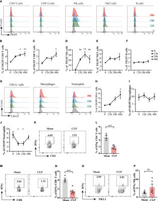 TIGIT regulates CD4+ T cell immunity against polymicrobial sepsis